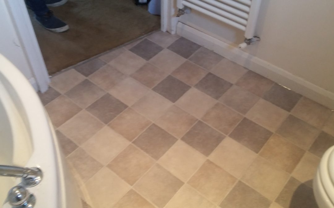 Master bathroom vinyl floor & sub-floor replacement