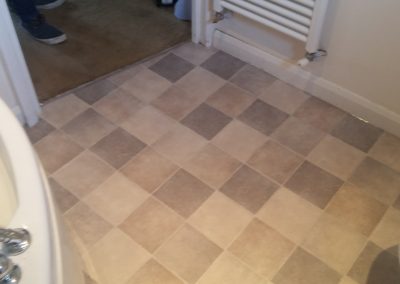Master bathroom vinyl floor & sub-floor replacement
