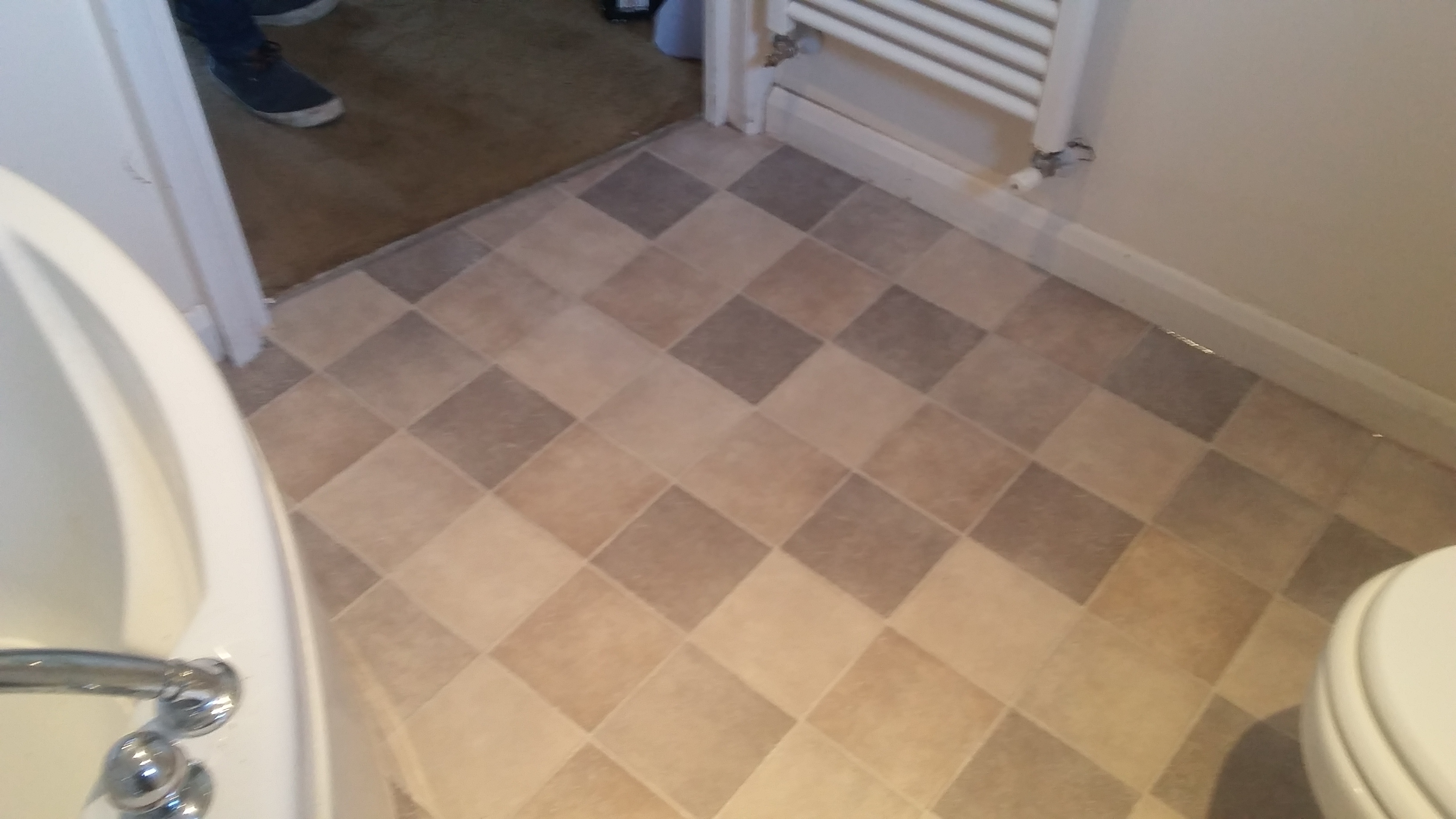 Master bathroom vinyl floor & subfloor replacement Seraphim