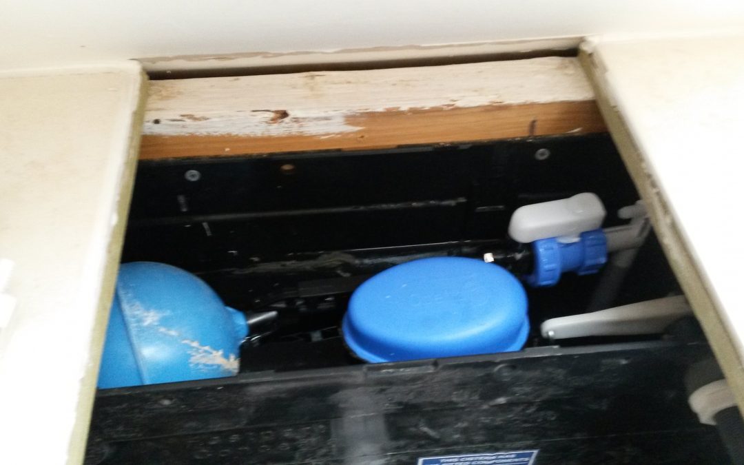 Concealed cistern inlet valve & flush siphon replacement