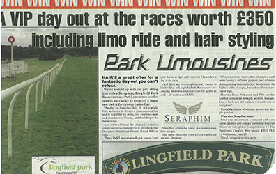 VIP day out at the races