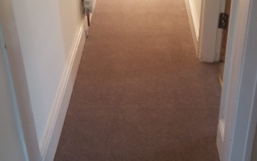 Hallway, landing & stairs carpet replacement & driveway gravel