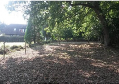 Extensive garden clearance work on Sussex farm
